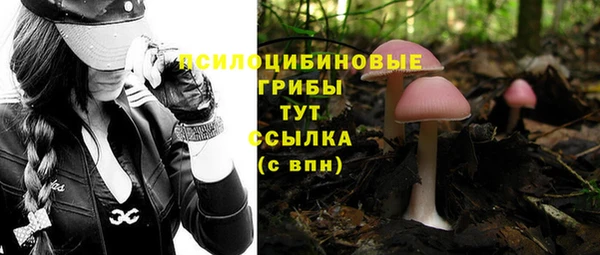 альфа пвп Беломорск