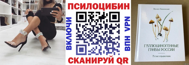 Псилоцибиновые грибы GOLDEN TEACHER  Купить закладки  Алдан 